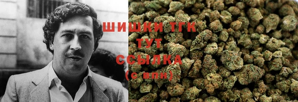 гидропоника Абаза