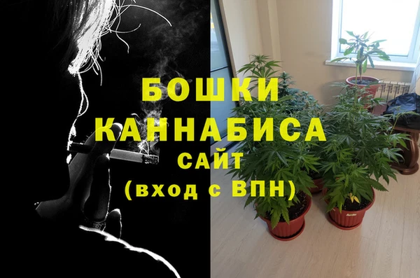 гидропоника Абаза