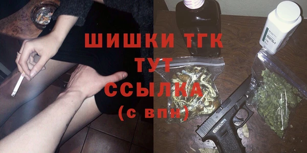 гидропоника Абаза